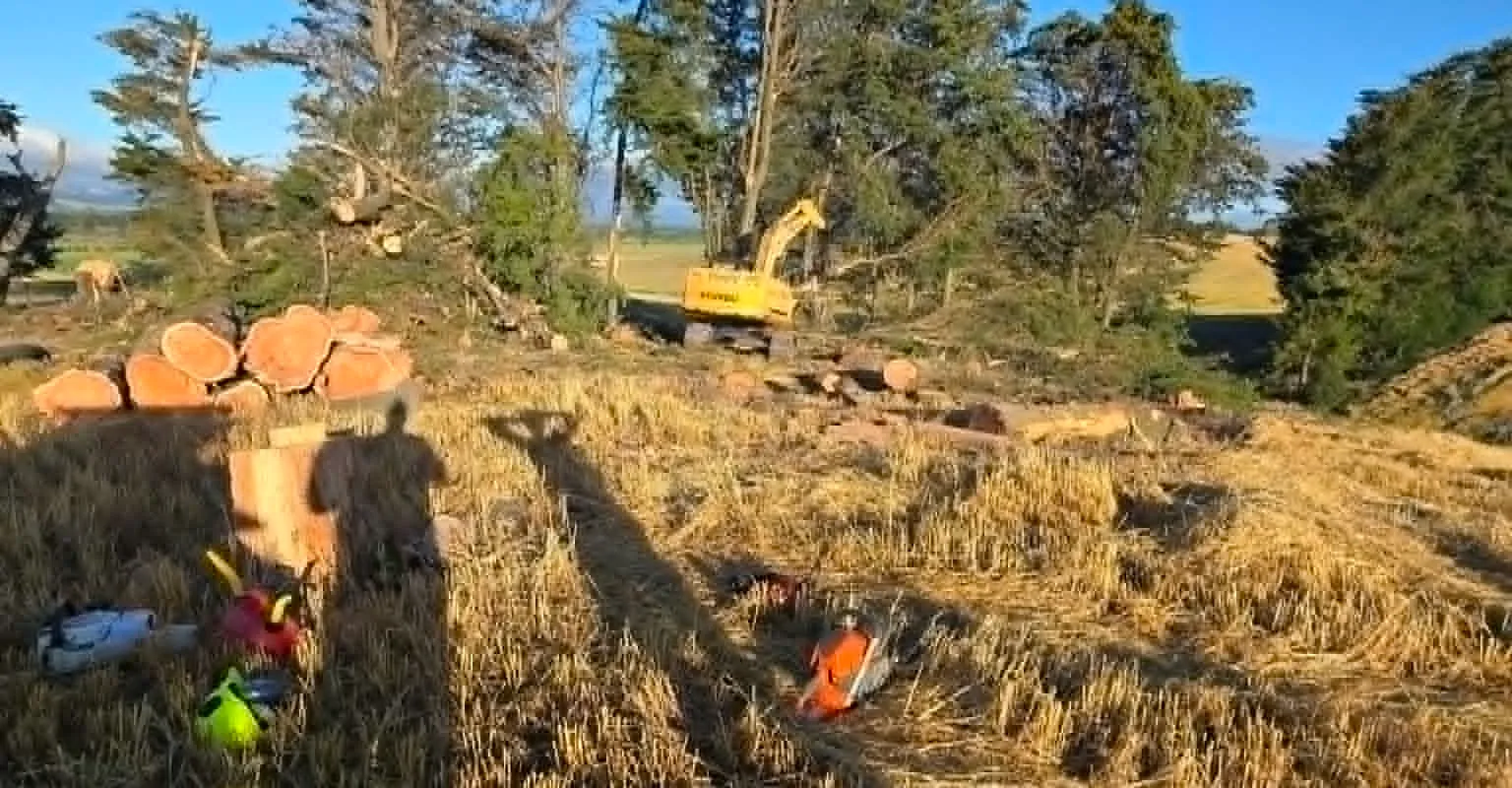 Excavator clearing logs on a rural property