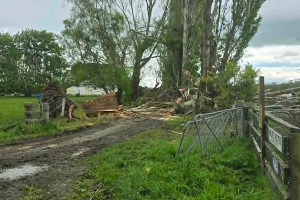 Fallen trees cleared from a farm gate